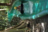  2007-12-10 15.00.01-1.JPG 